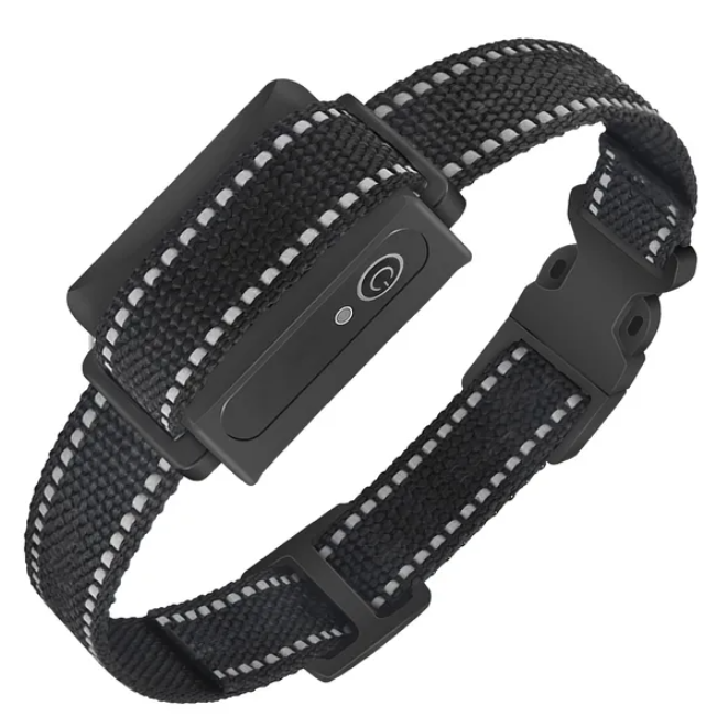Dog Training Collar Receiver IP67 Waterproof
