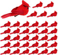 12 Pcs Cardinal Birds For Crafts, Mini Cardinal Clip On Christmas Tree Ornaments Artificial Red Birds Decorations For Wreaths Centerpieces DIY Crafts, Red Velvet & Feathers